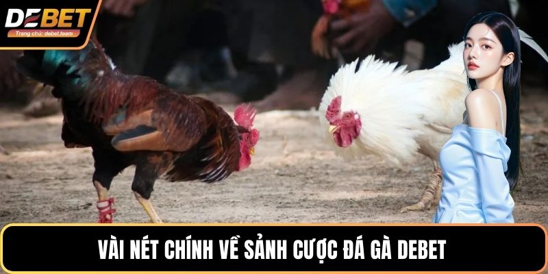 Vài nét chính về sảnh cược đá gà Debet